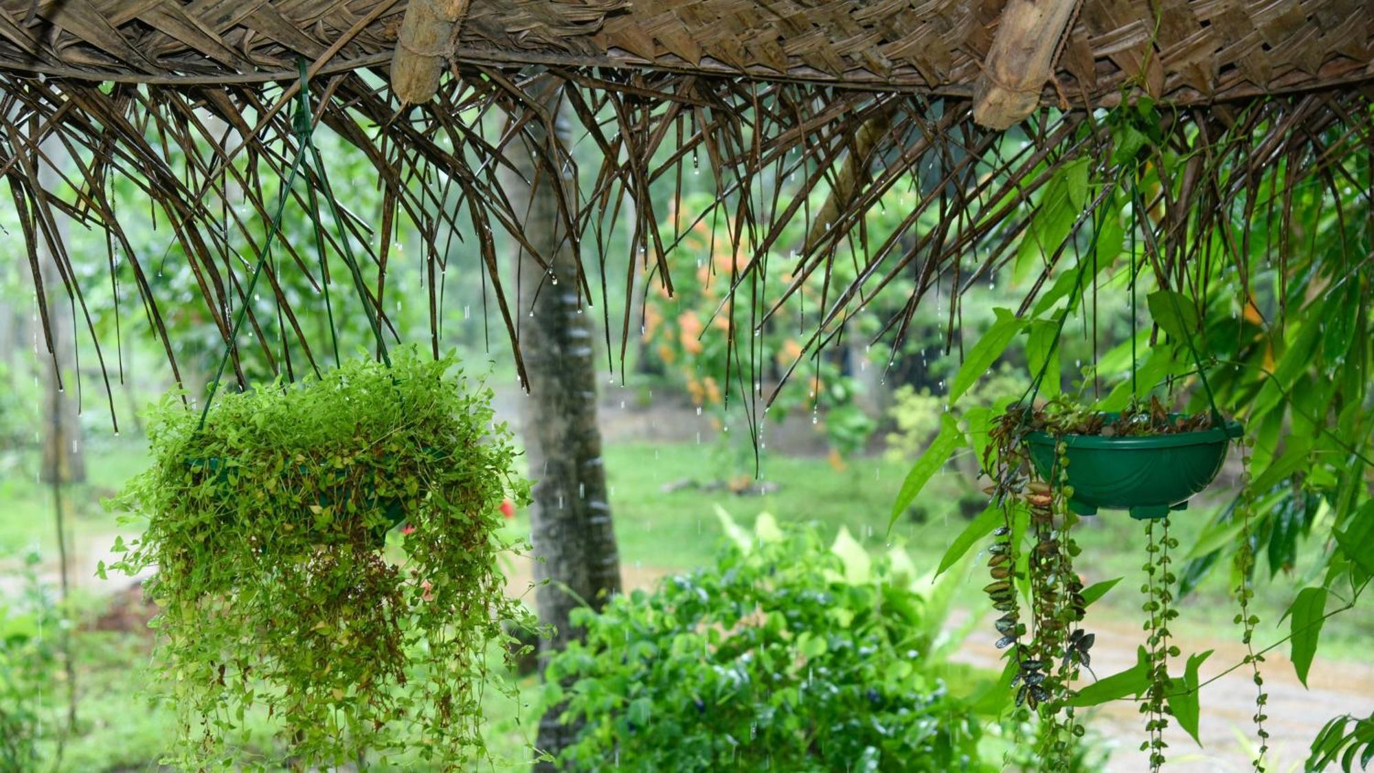 Prem Nadee Homestay Dambulla Luaran gambar